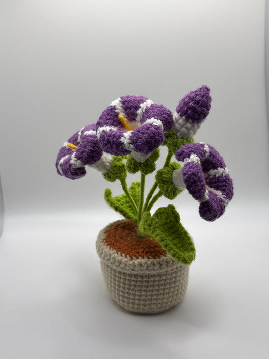 Purple & White Flower Pot