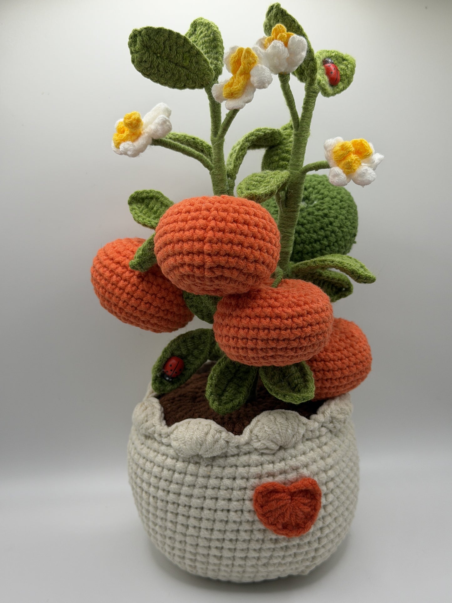 Clementine Lady Bug Tree