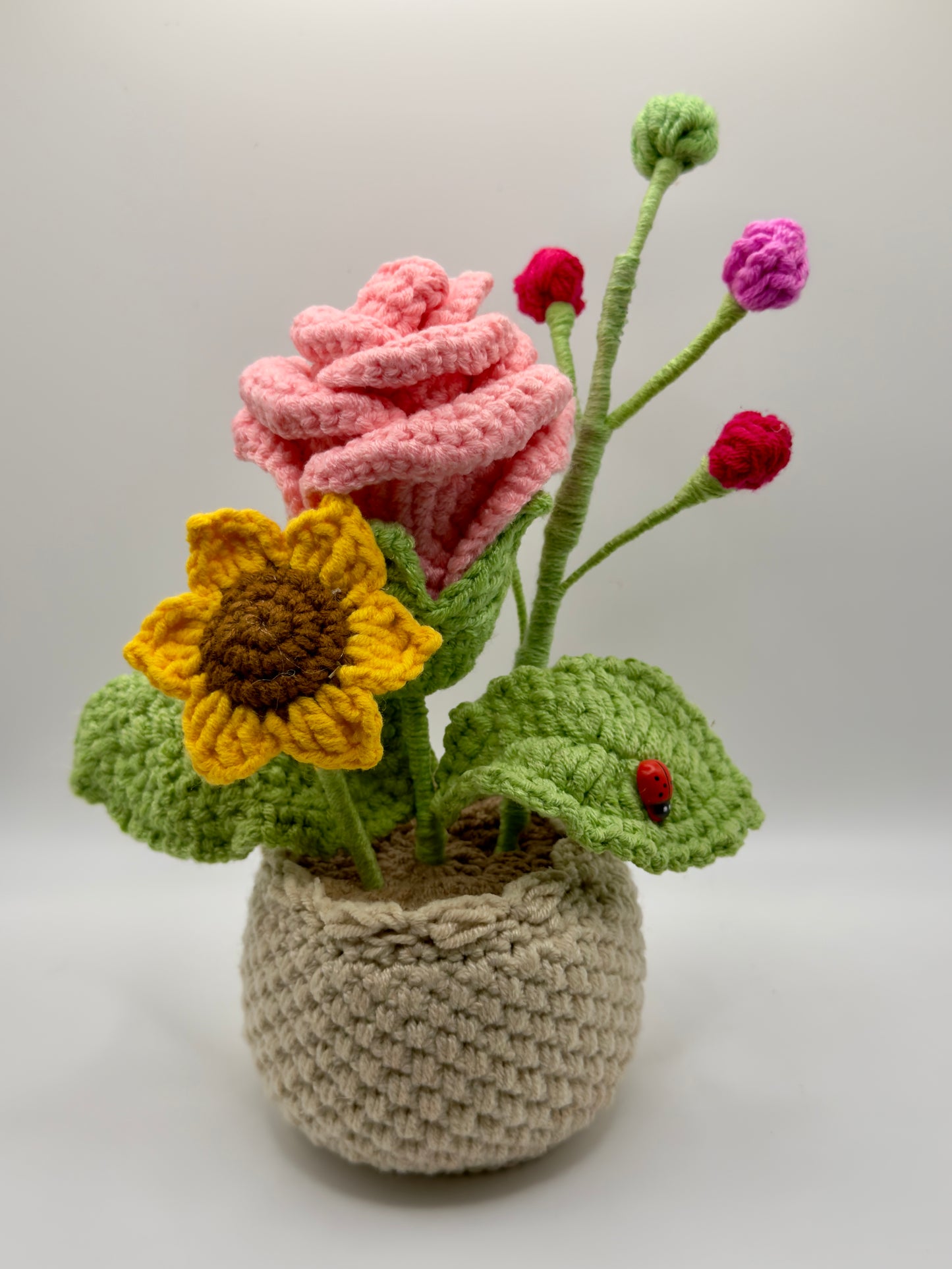 Rose with Pink Rose Flower Pot