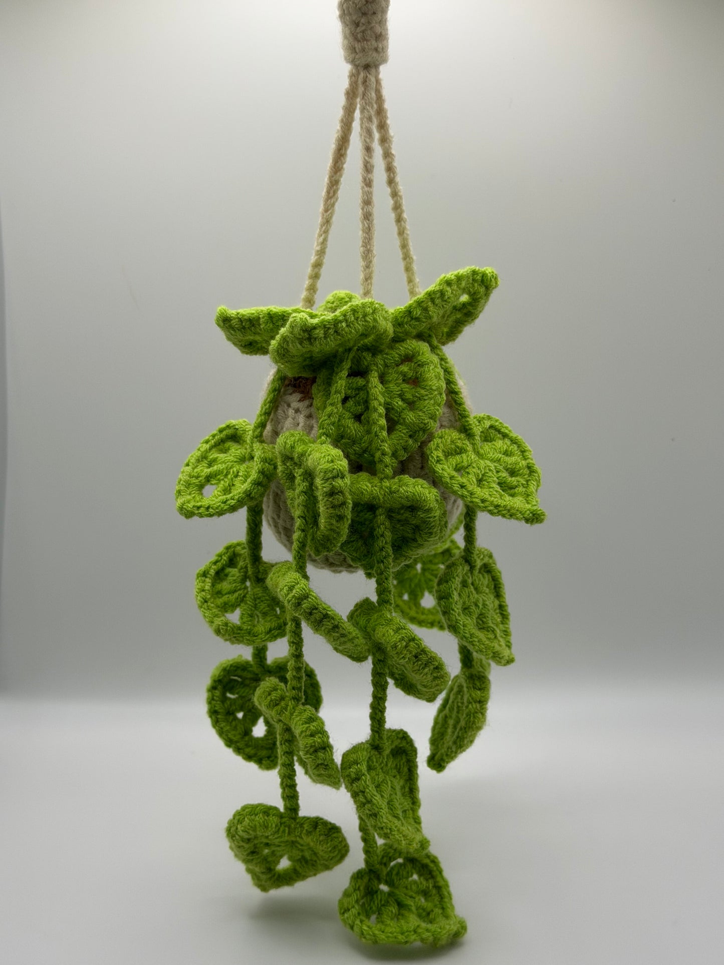 Green Leaf Hanging Flower Pot