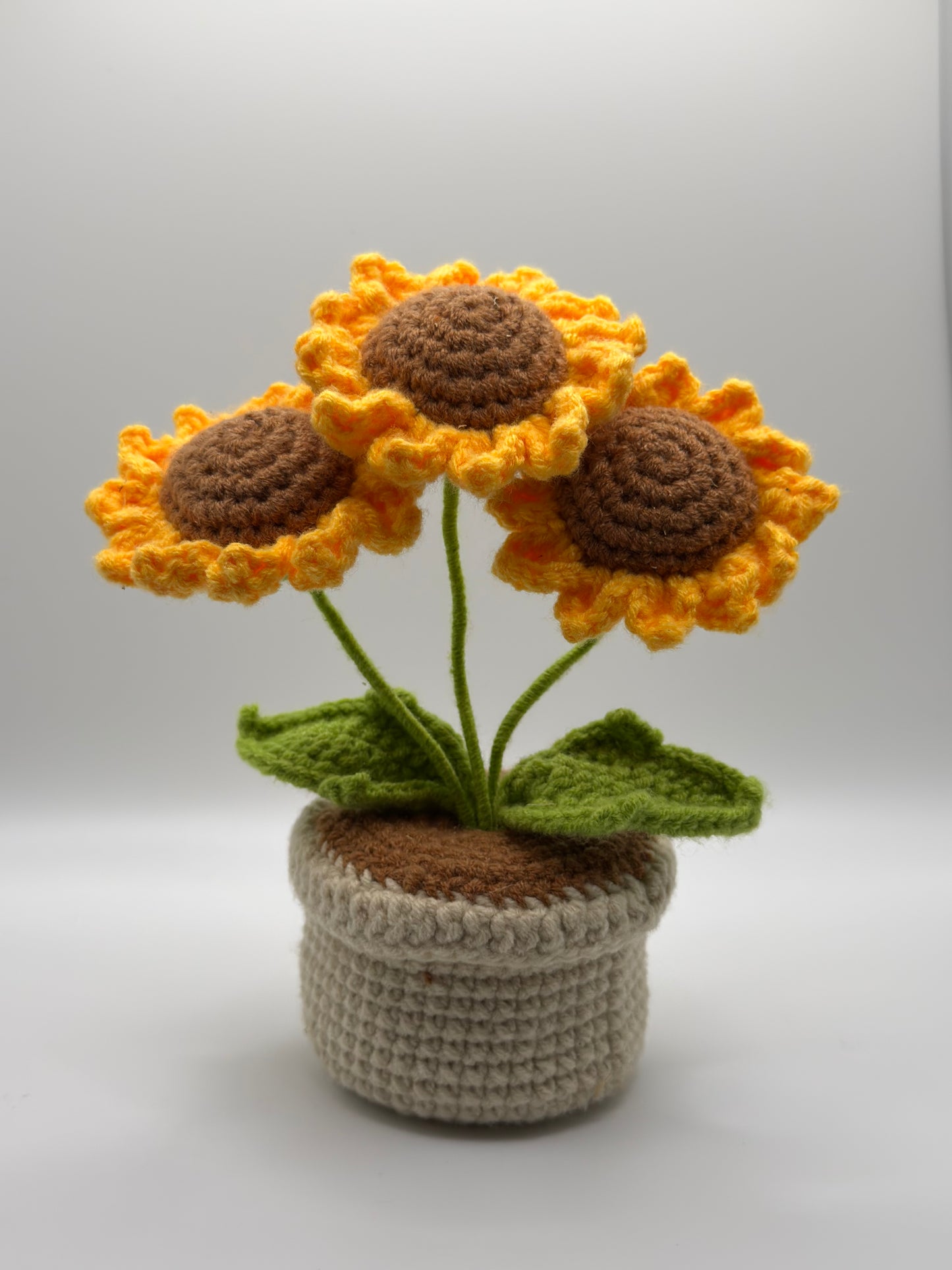 Small Sunflower Planter