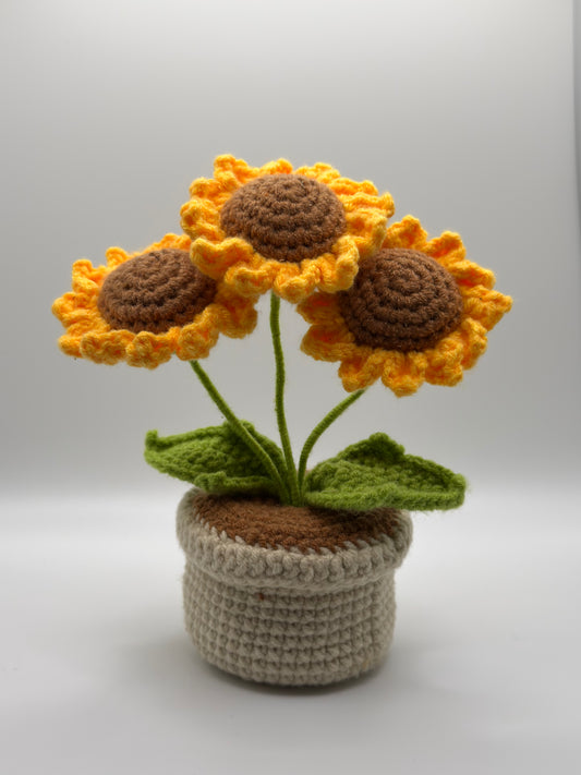 Small Sunflower Planter