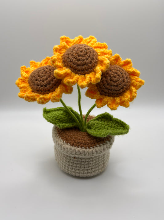 Small Sunflower Planter