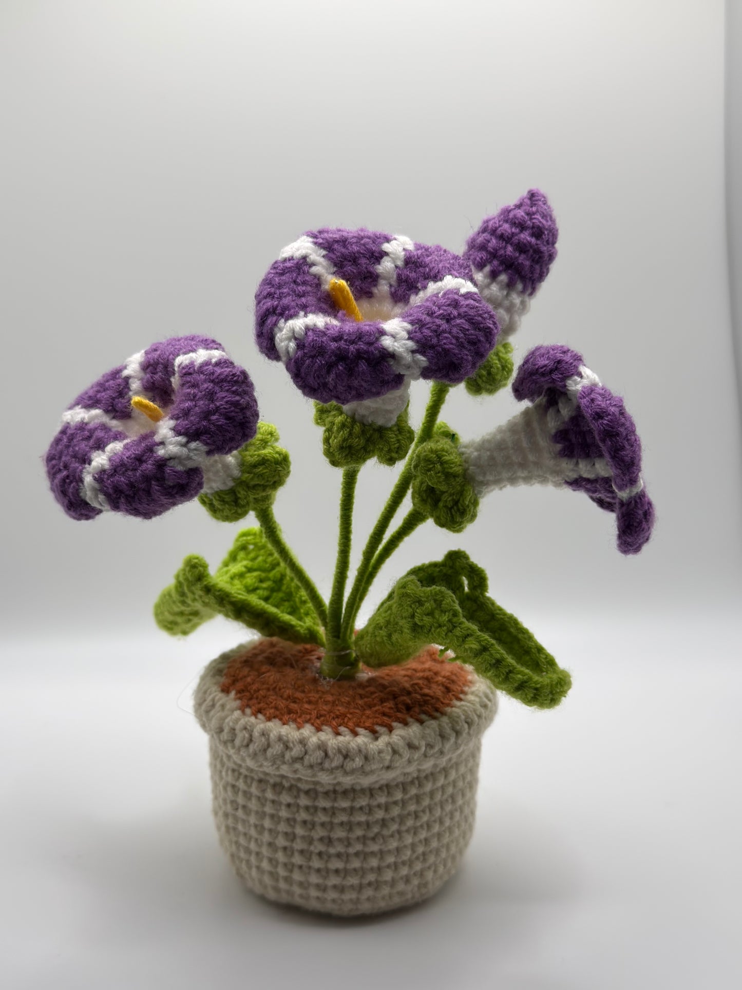 Purple & White Flower Pot