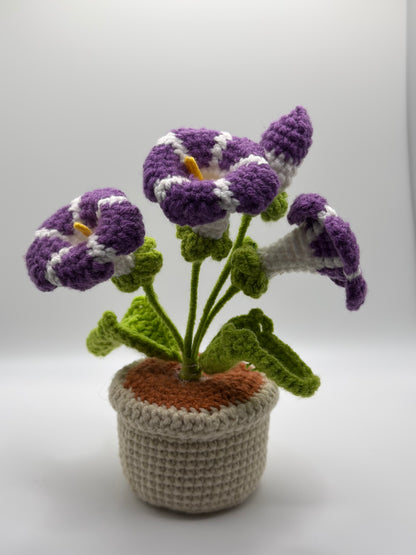 Purple & White Flower Pot