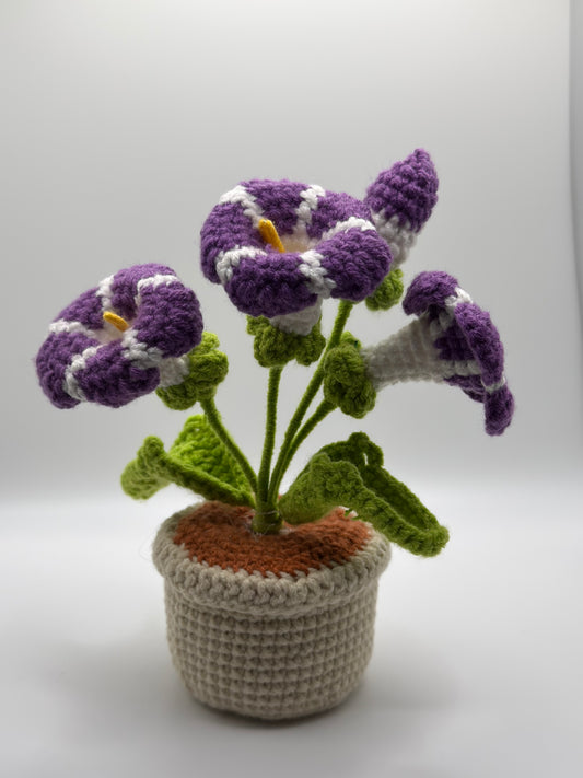 Purple & White Flower Pot