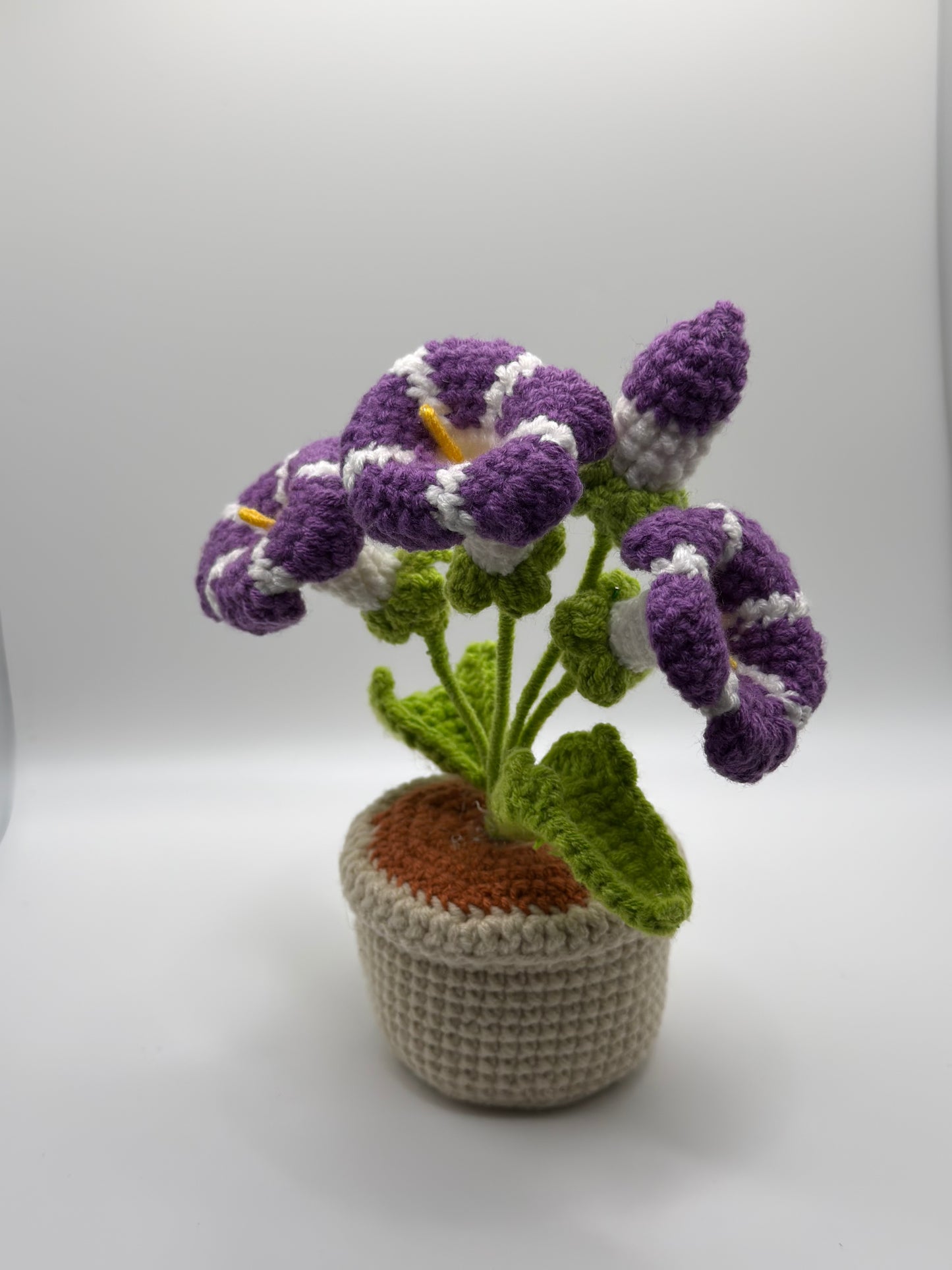 Purple & White Flower Pot