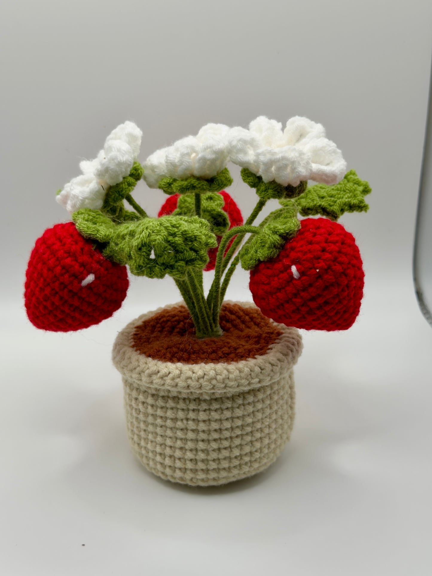 Small Strawberry Flower Pot