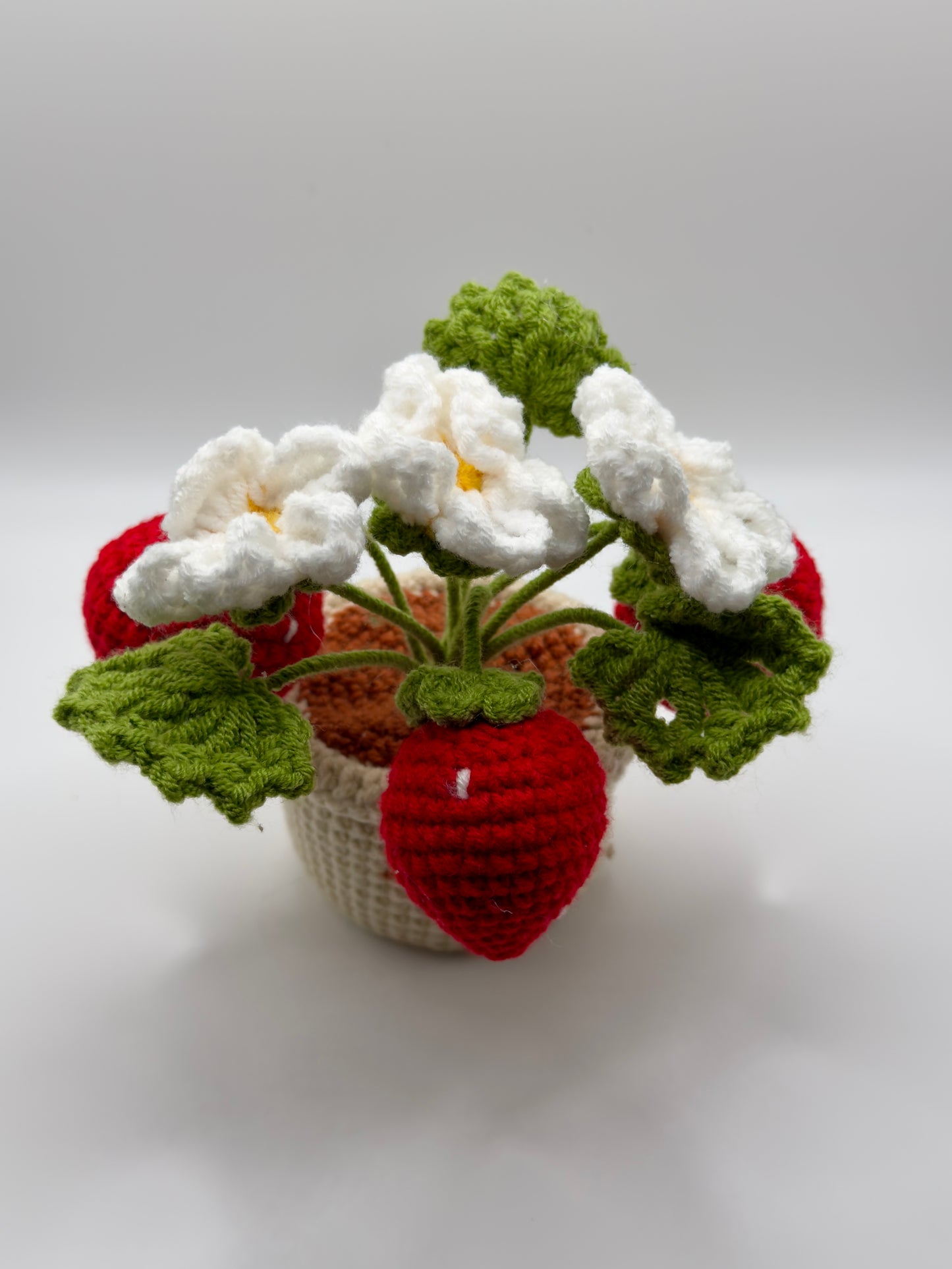 Small Strawberry Flower Pot