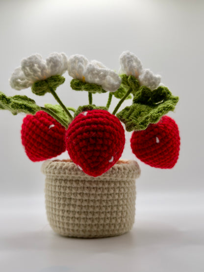 Small Strawberry Flower Pot