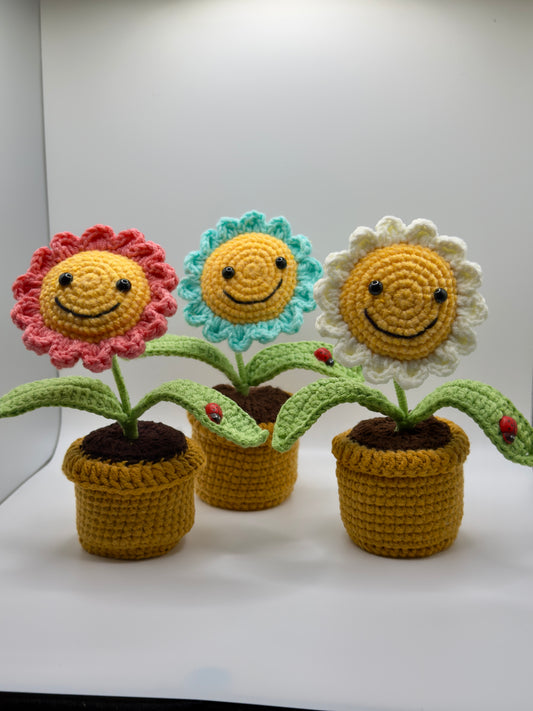 Happy Lady Bug Flower Pot