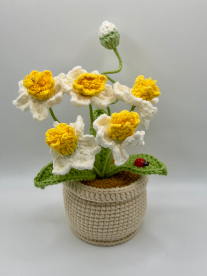 Small Flower Pot With Lady Bug