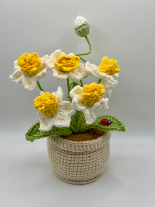 Small Flower Pot With Lady Bug