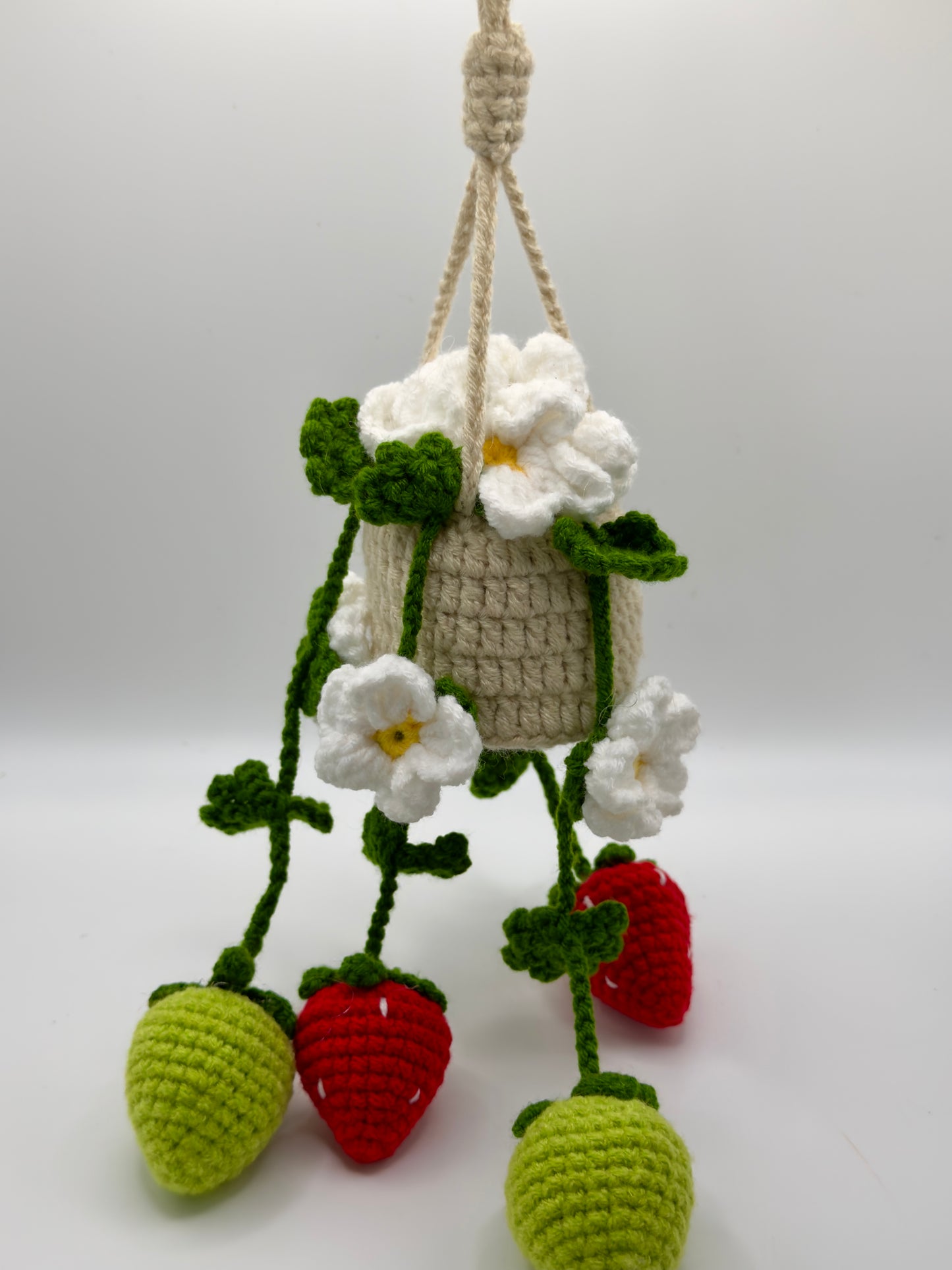 Hanging Strawberries