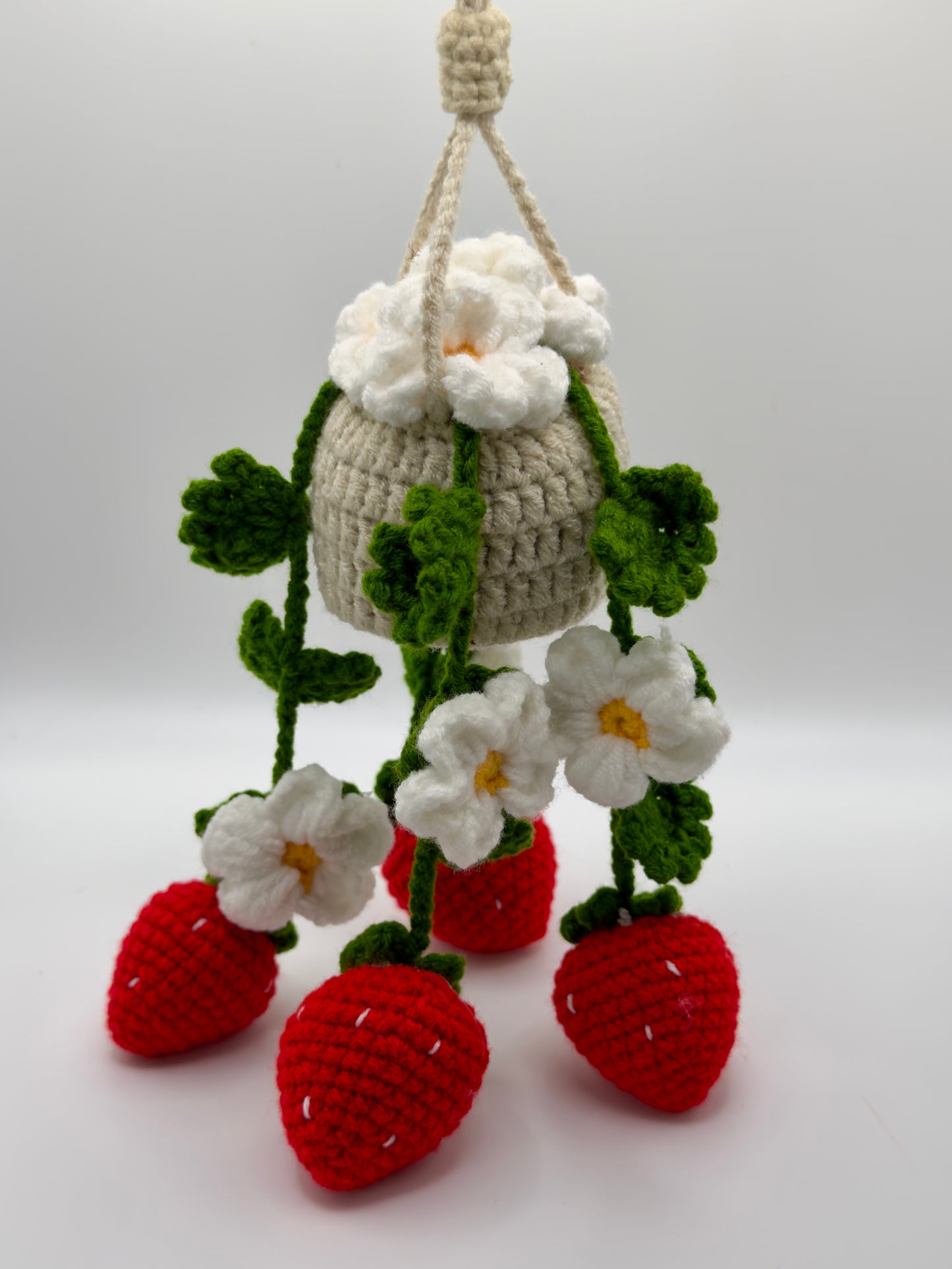 Hanging Strawberries
