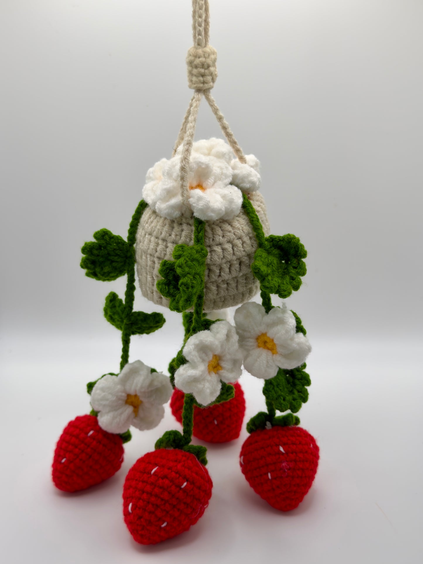 Hanging Strawberries