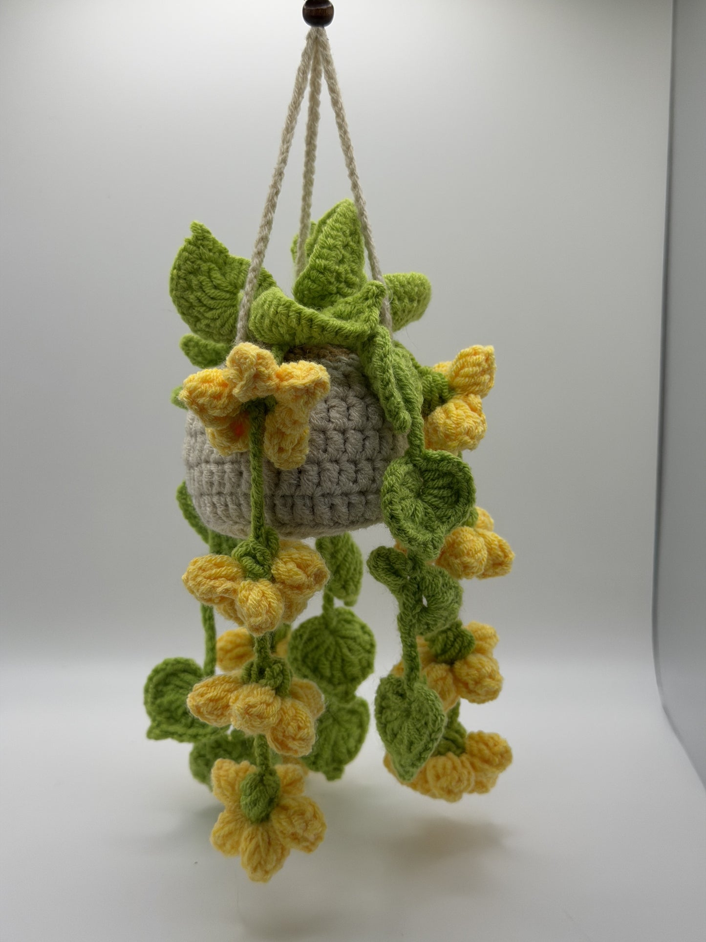 Yellow and Greenery Hanging Flower Pot