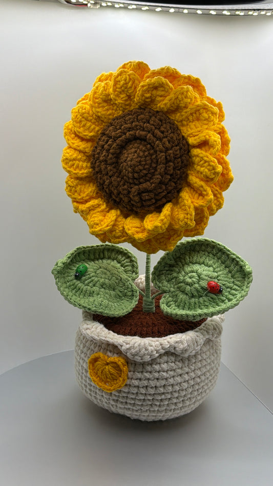 Large Lady Sunflower
