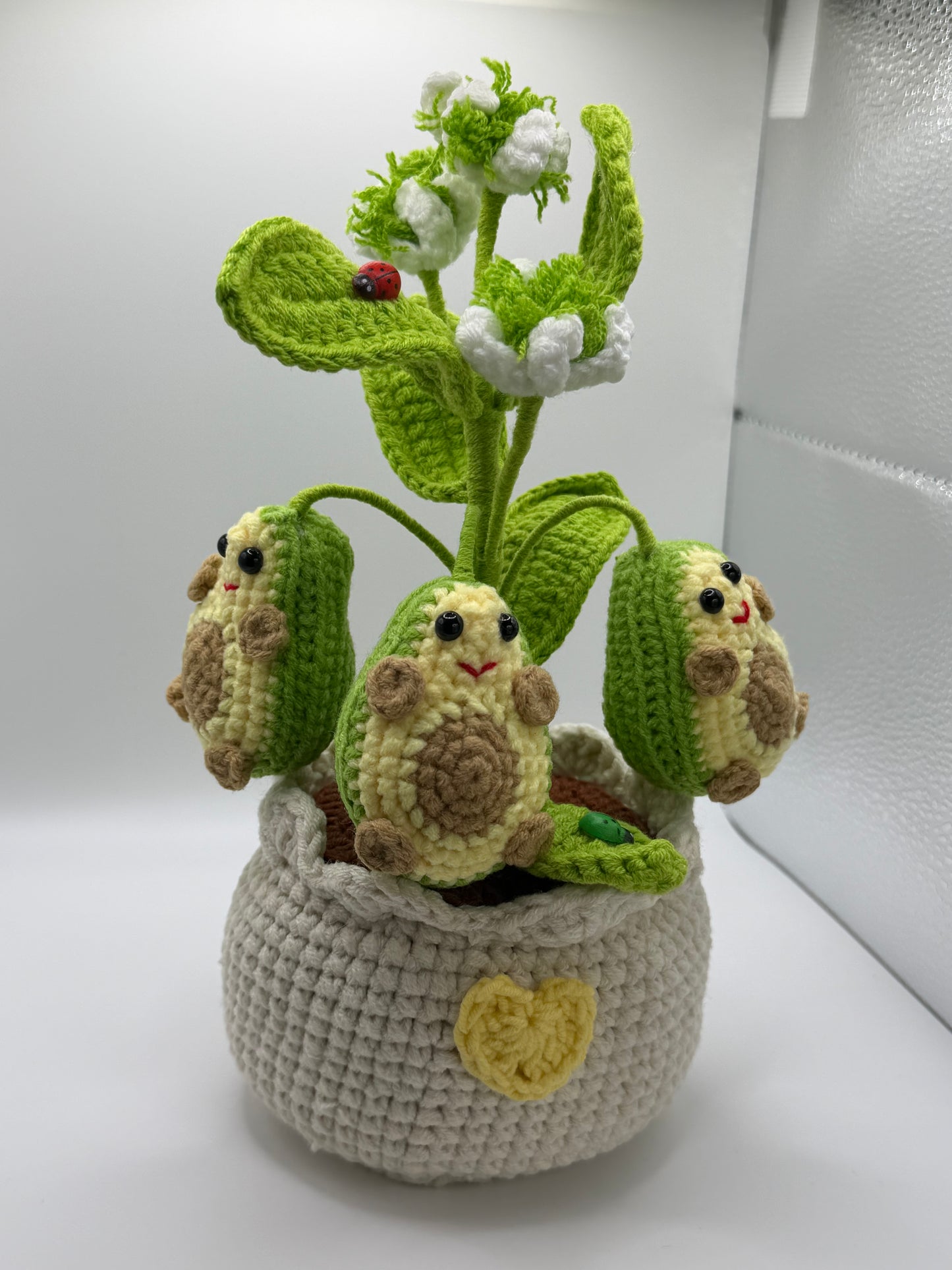 Avocado Planter