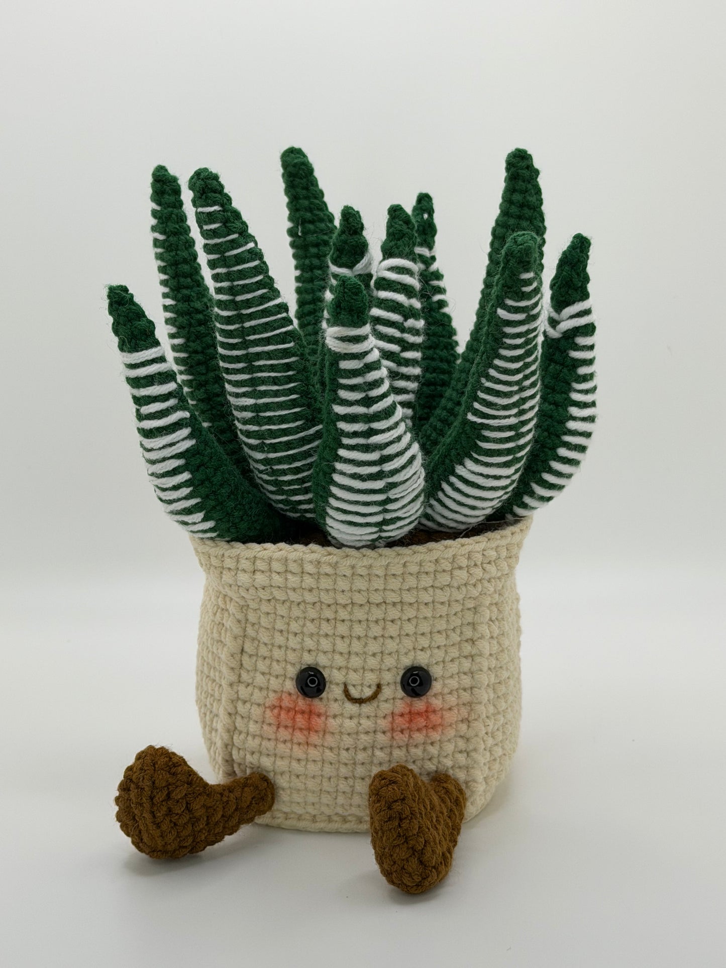 Snake Plant