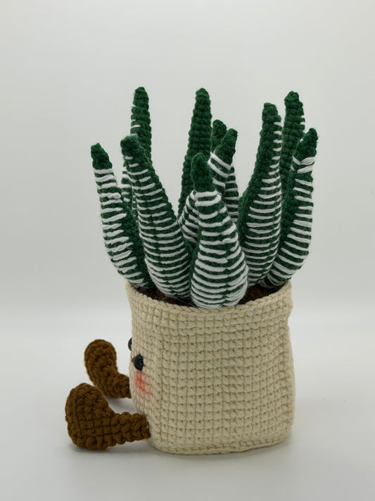 Snake Plant