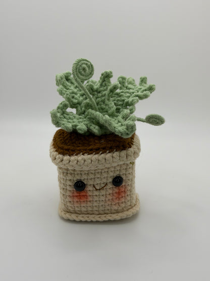 Small Smiling Plant