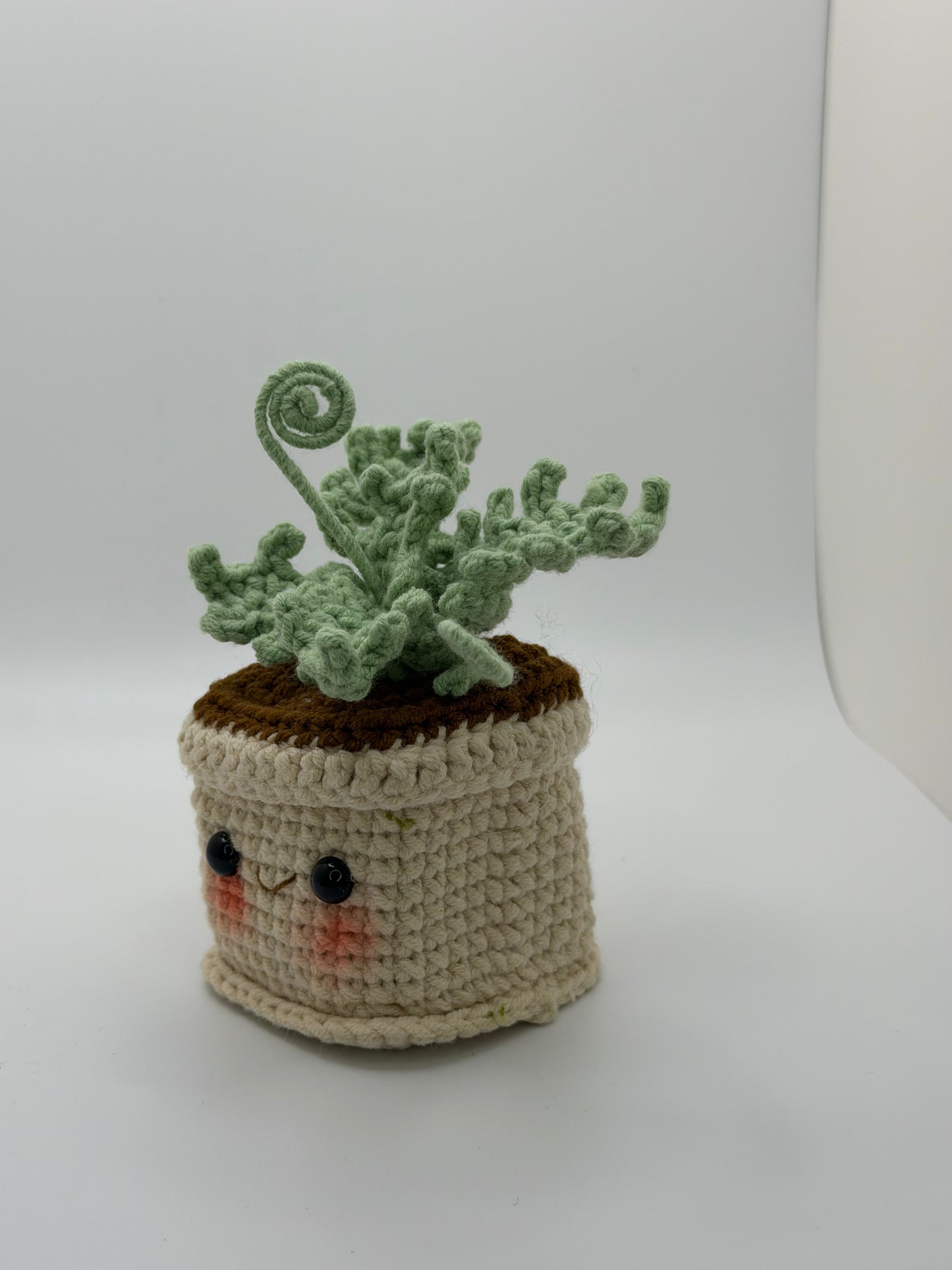 Small Smiling Plant