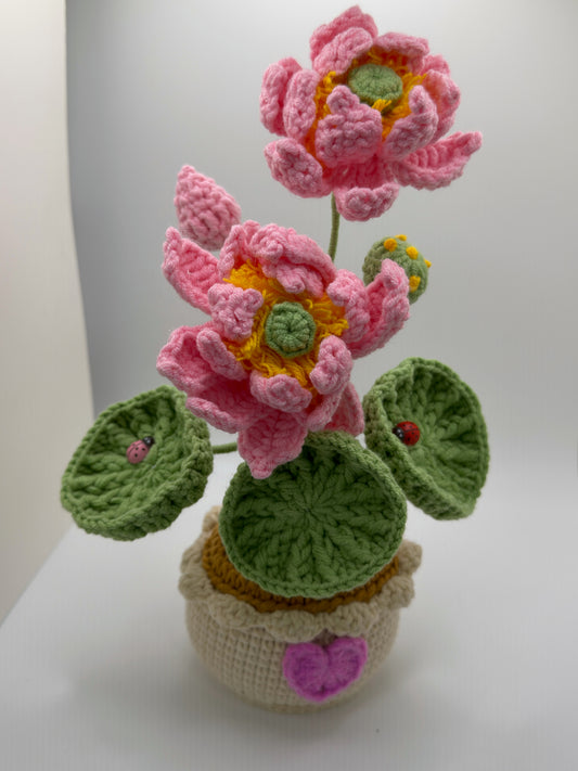 Lady Lilly Pad Flower Pot