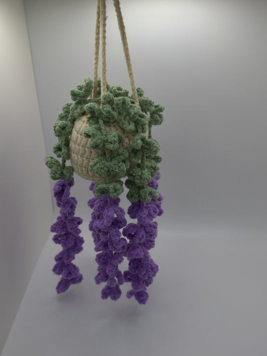 Hanging Succulant