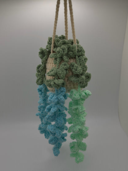 Hanging Succulant