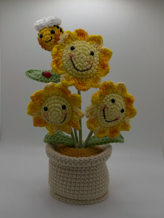 3 Sunflower with Bee