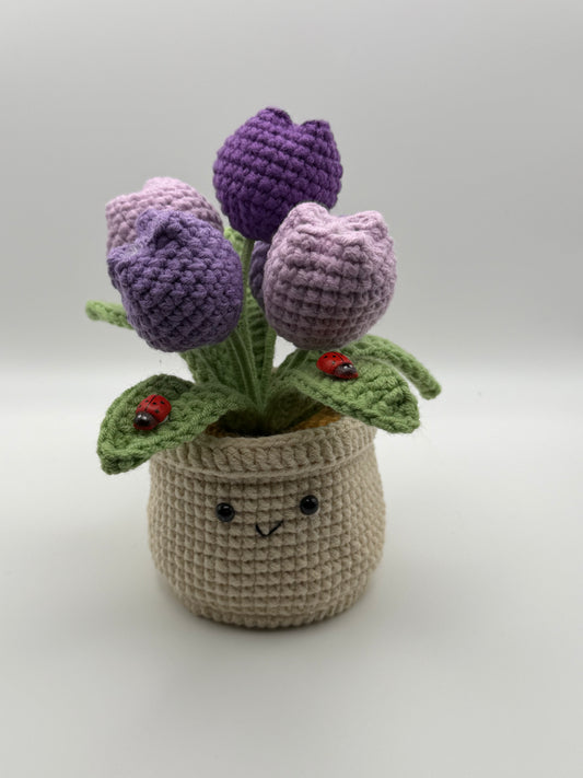 Smiley Tulip Planter