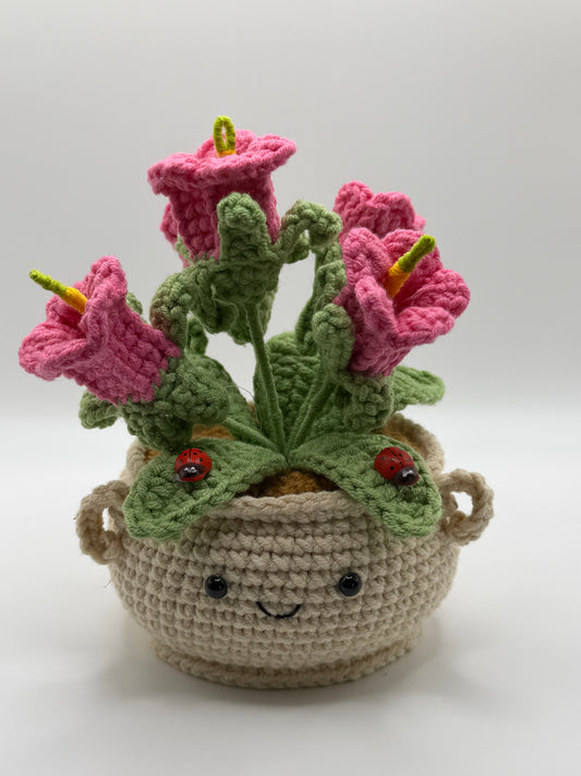 Smiling Pink flower pot