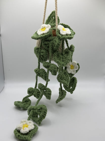 Green Daisy Hanging Flower Pot