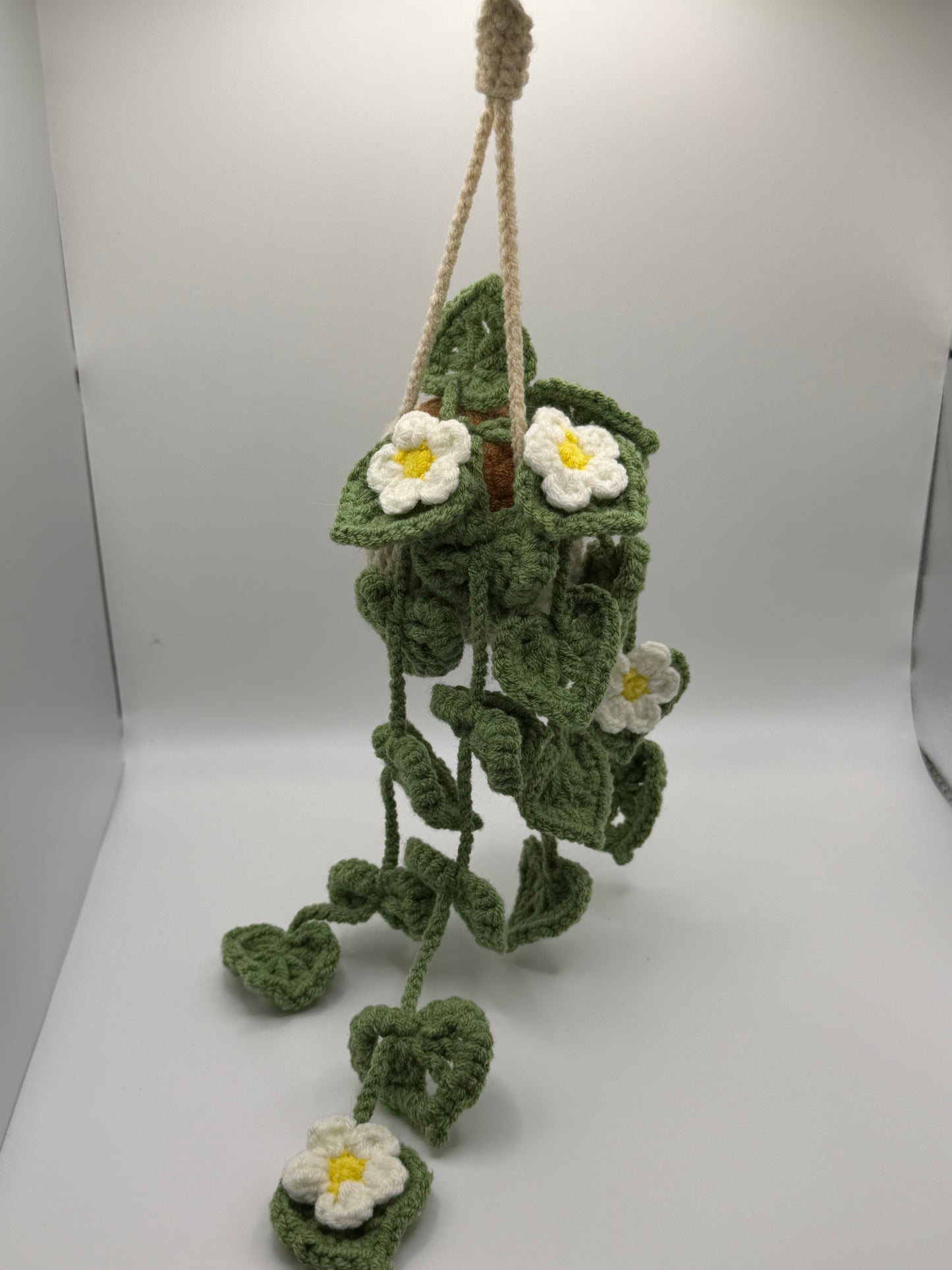 Crocheted hanging plant with white flowers 