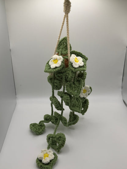 Crocheted hanging plant with white flowers 