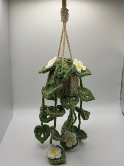 Green Daisy Hanging Flower Pot