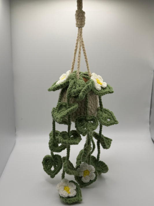 Green Daisy Hanging Flower Pot