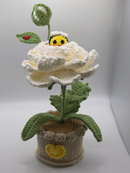 Flower with Bee